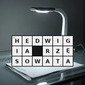 Hasło krzyżówkowe hedwigiowate - hedwigia rzęsowata – rozwiązanie, synonimy, podpowiedzi i definicje krzyżówkowe